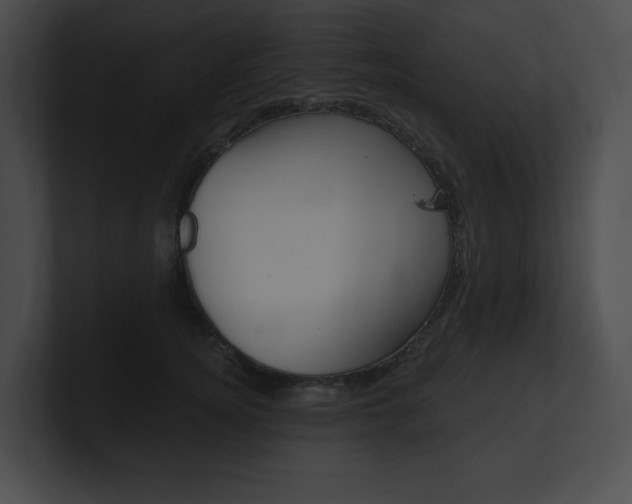 X0000101160756200806270732