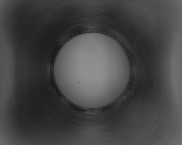 X0000101160757200806270732