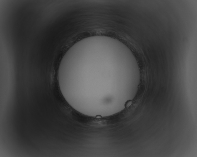 X0000101160760200806270732