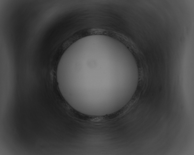 X0000101160761200806270732
