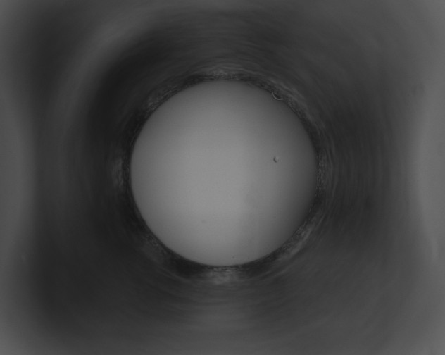 X0000101160762200806270732