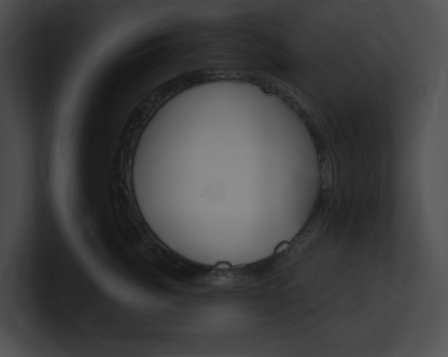 X0000101160764200806270732