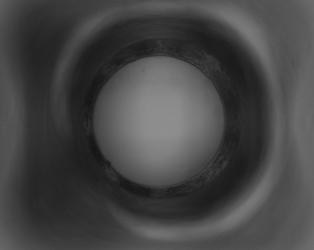 X0000101160766200806270732