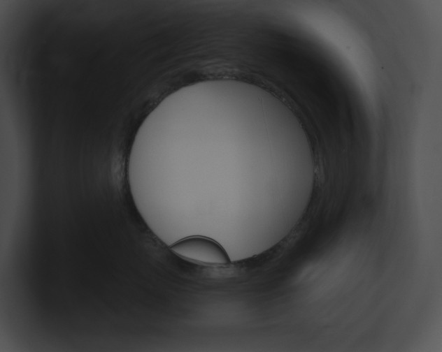 X0000101160767200806270732