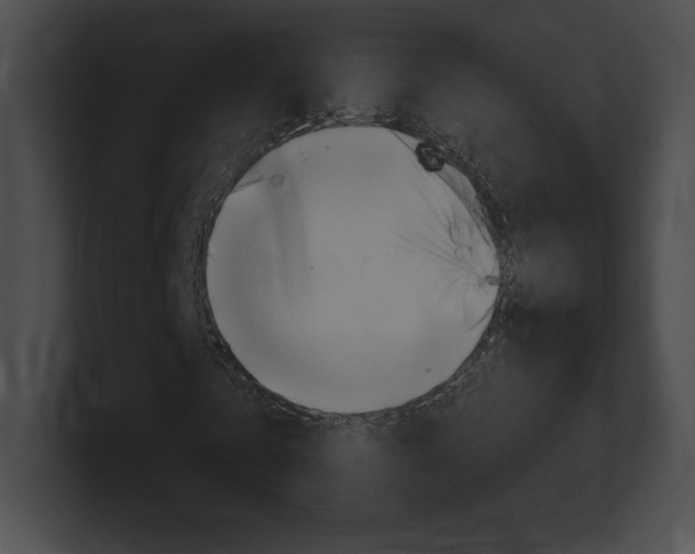 X0000101160769200806270732