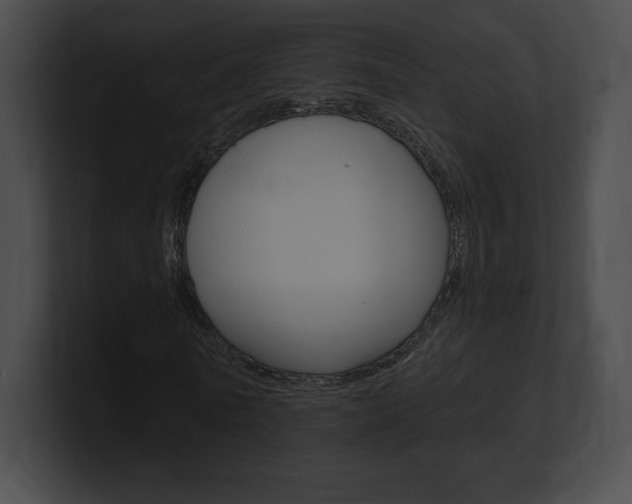 X0000101160770200806270732
