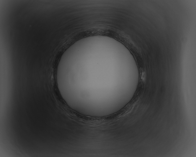 X0000101160771200806270732