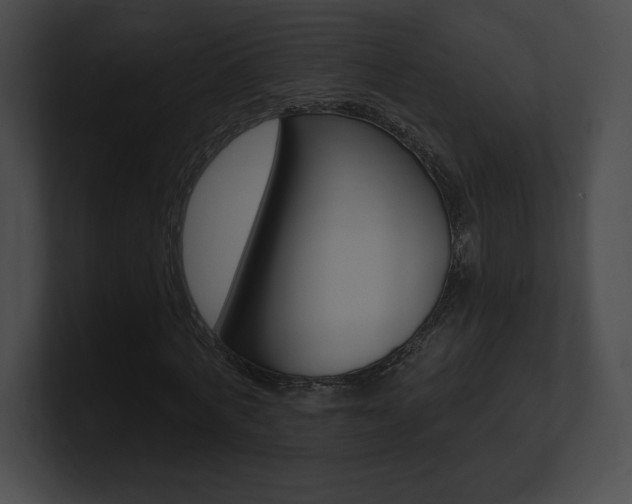 X0000101160772200806270731