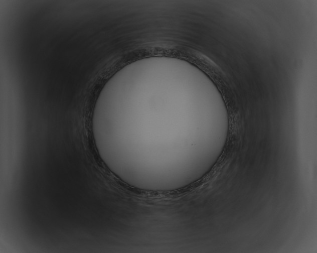 X0000101160774200806270731