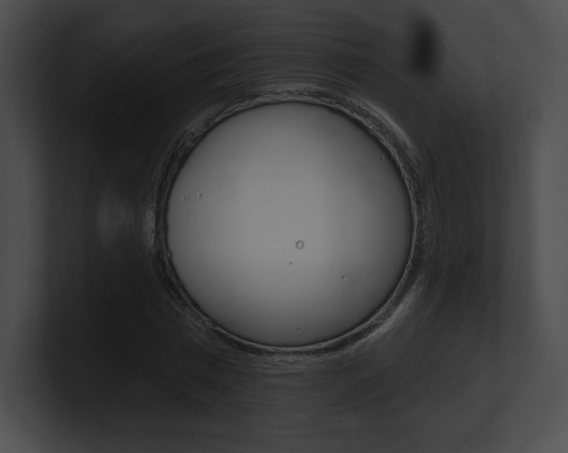 X0000101160777200806270731