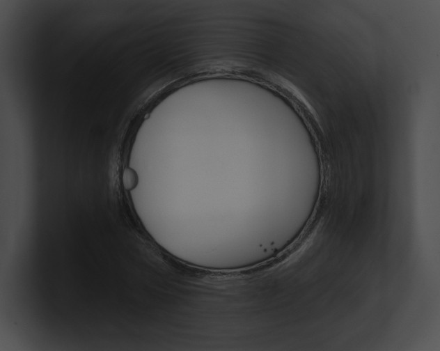 X0000101160778200806270731