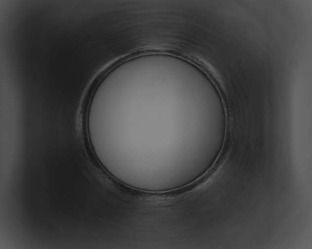 X0000101160779200806270731