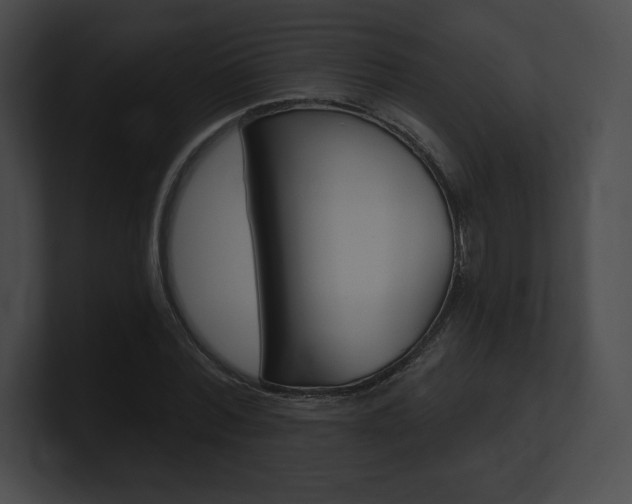 X0000101160780200806270731
