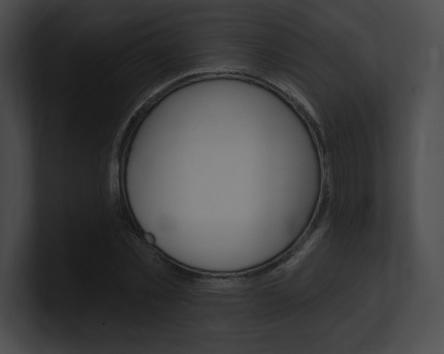 X0000101160781200806270731
