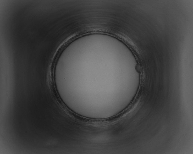 X0000101160782200806270731