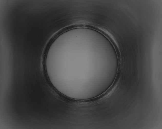 X0000101160783200806270731