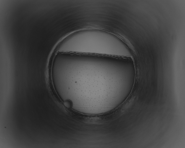 X0000101160784200806270731