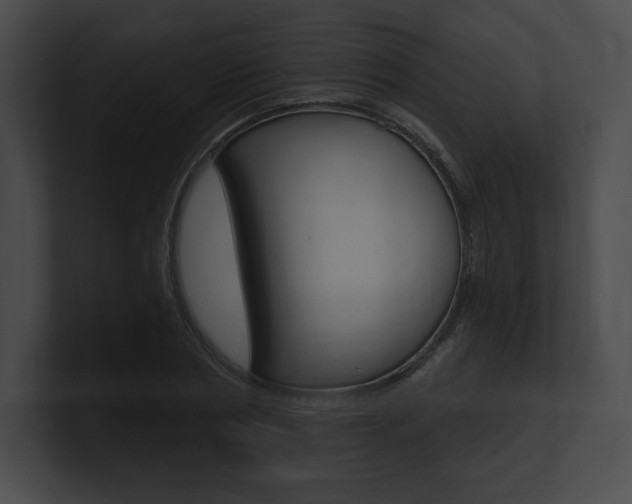 X0000101160786200806270731