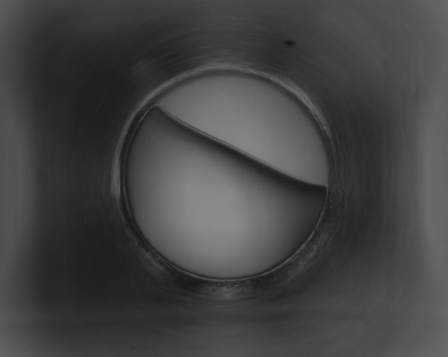 X0000101160791200806270731