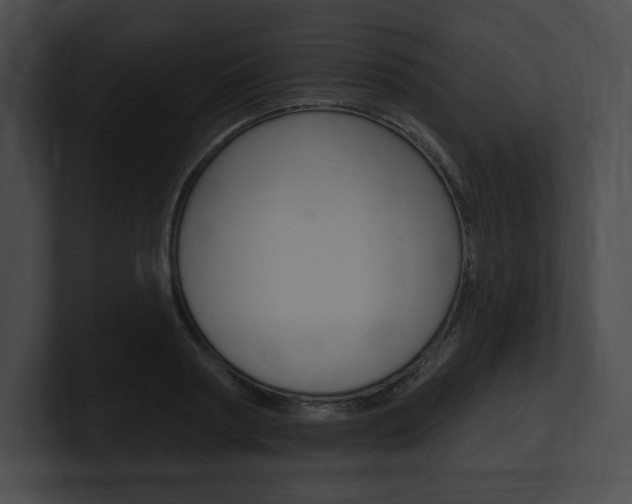 X0000101160794200806270731