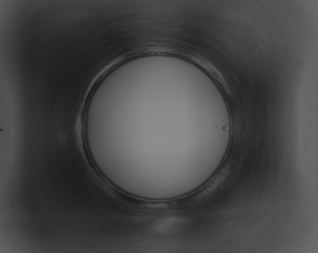 X0000101160798200806270731