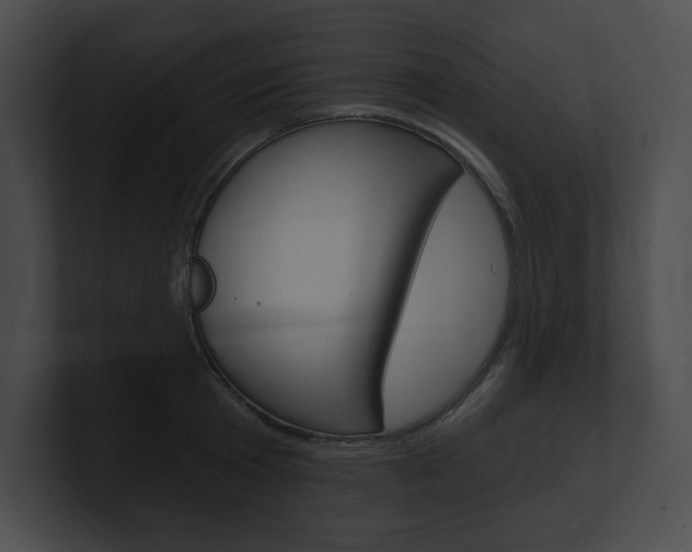 X0000101160801200806270731
