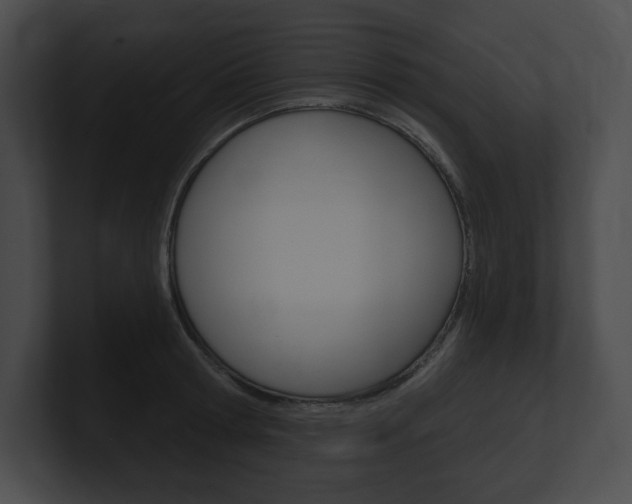 X0000101160802200806270731