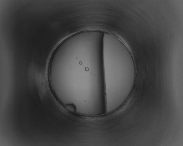 X0000101160803200806270731