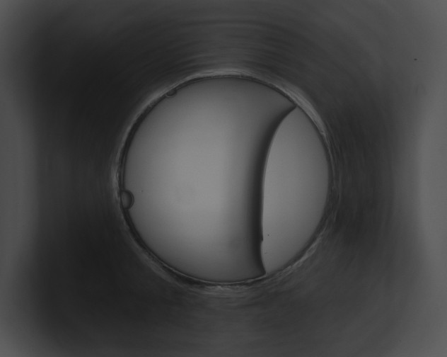 X0000101160805200806270731