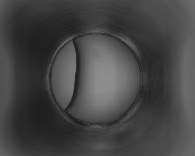 X0000101160806200806270731