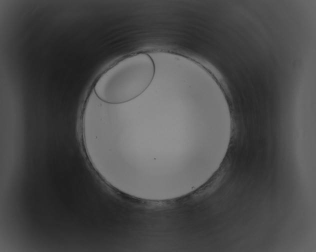 X0000101160807200806270731