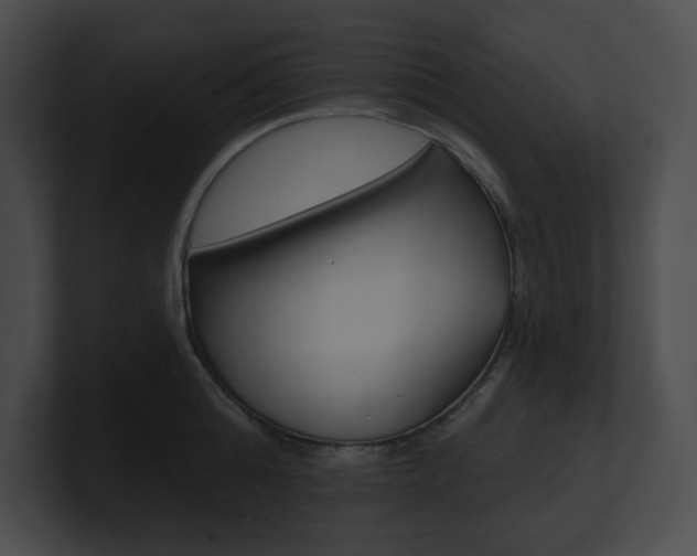 X0000101160808200806270731