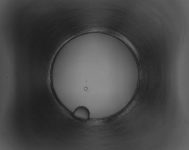 X0000101160810200806270731