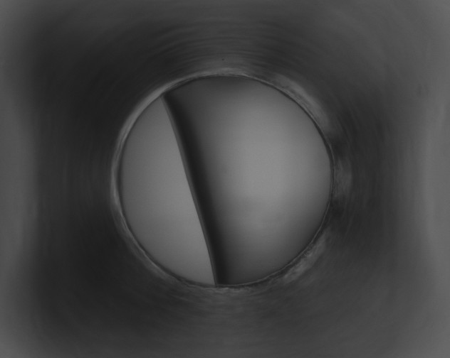 X0000101160812200806270731