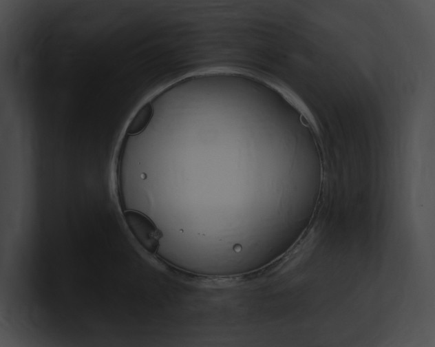 X0000101160813200806270731