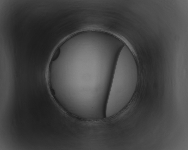 X0000101160815200806270731