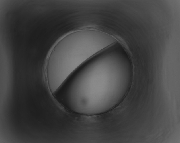 X0000101160816200806270731