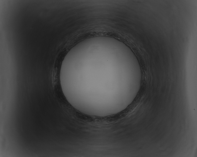 X0000101160818200806270730