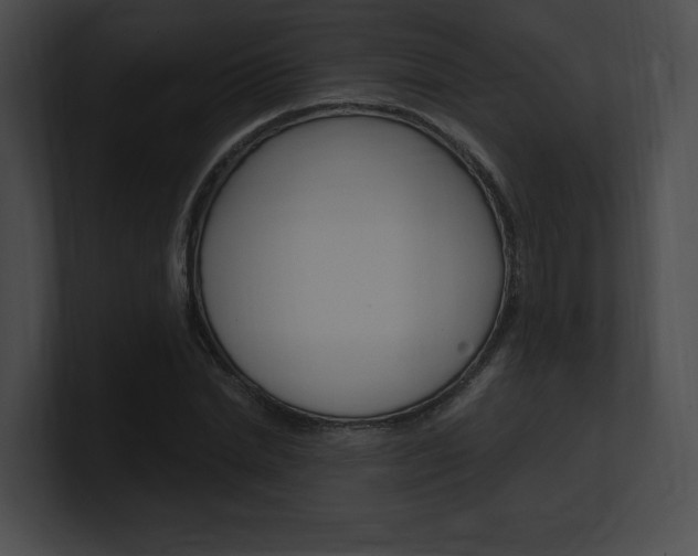X0000101160830200806270730