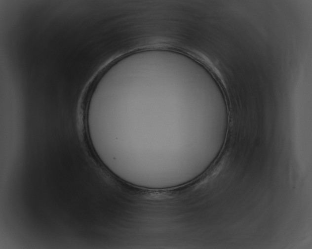 X0000101160835200806270730