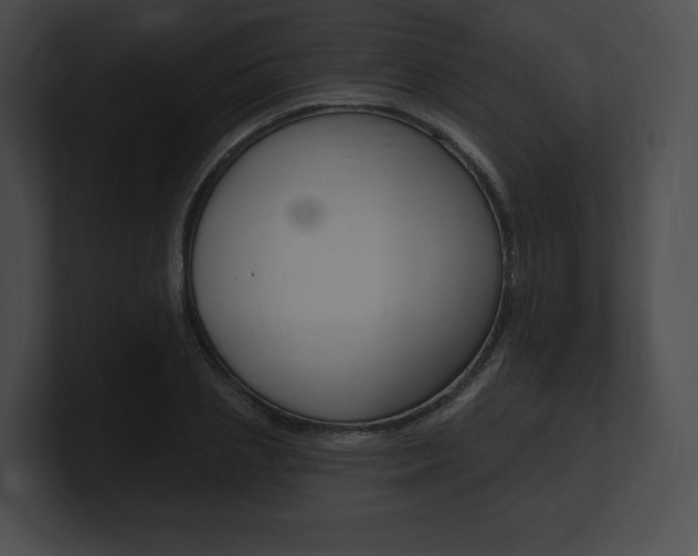 X0000101160837200806270731