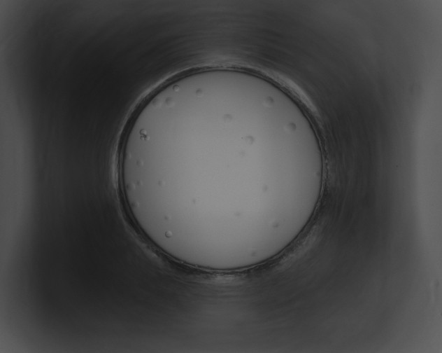 X0000101160839200806270731