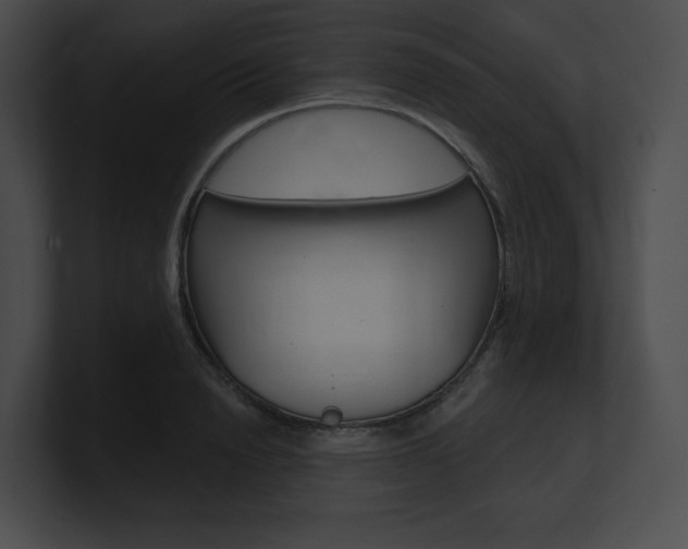 X0000101160846200806270731