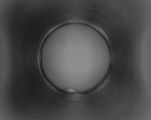 X0000101160847200806270731
