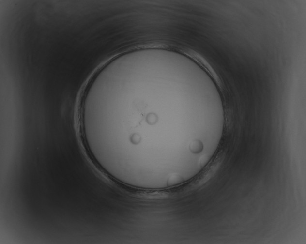 X0000101160851200806270731
