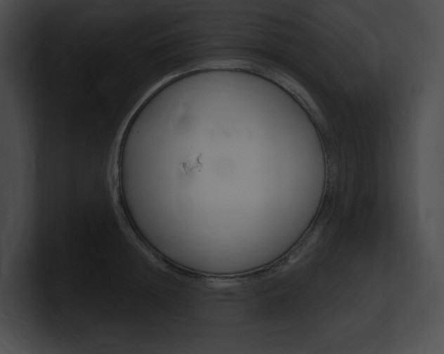 X0000101160852200806270731