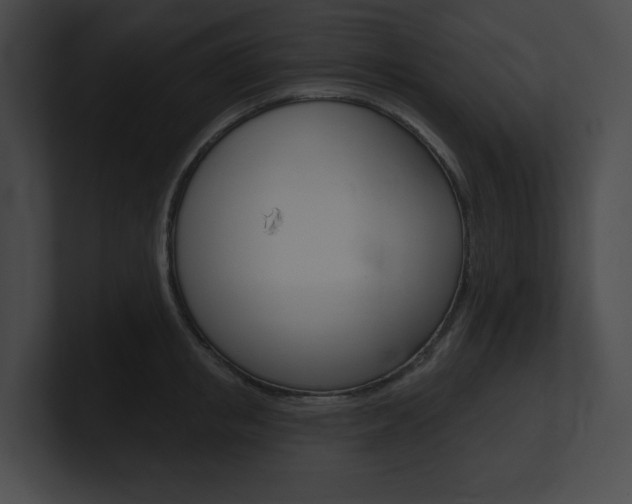 X0000101160853200806270731