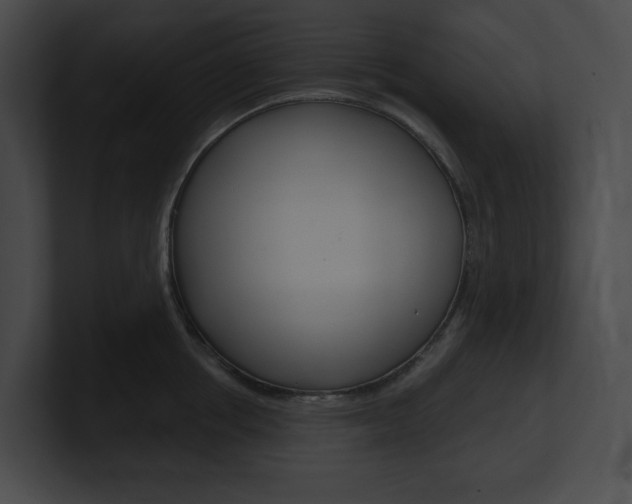 X0000101160858200806270731