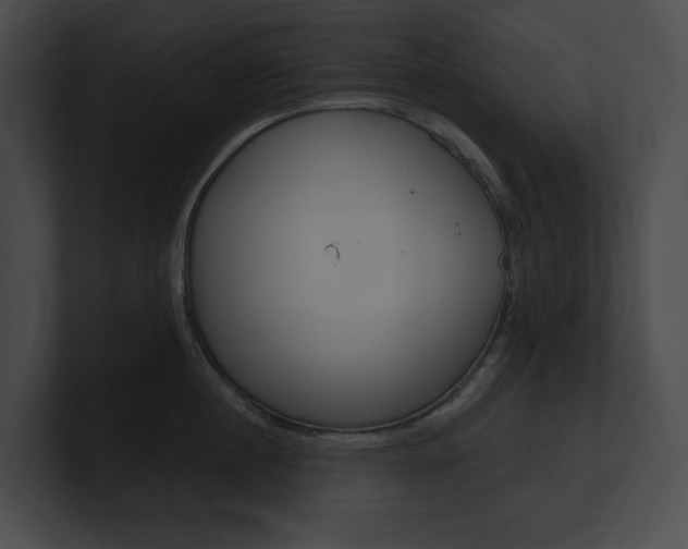 X0000101160860200806270731