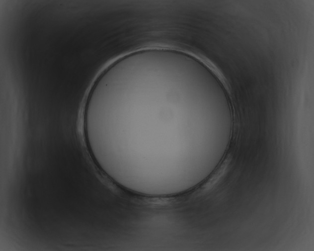 X0000101160862200806270731